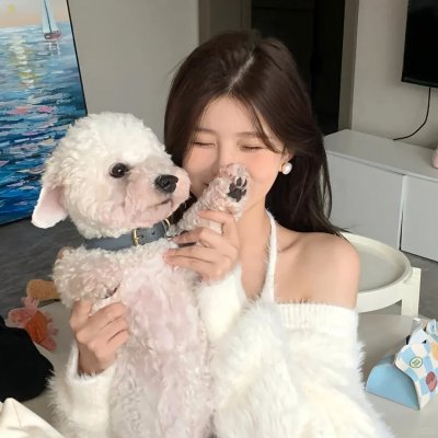 民调局异闻录第二季